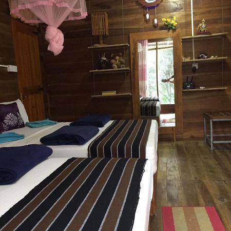 Ella Nature Nest 외부 사진
