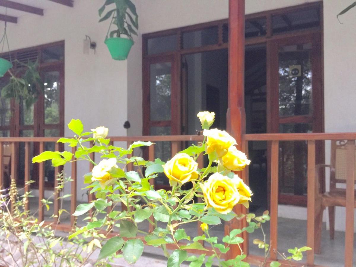Ella Nature Nest 외부 사진