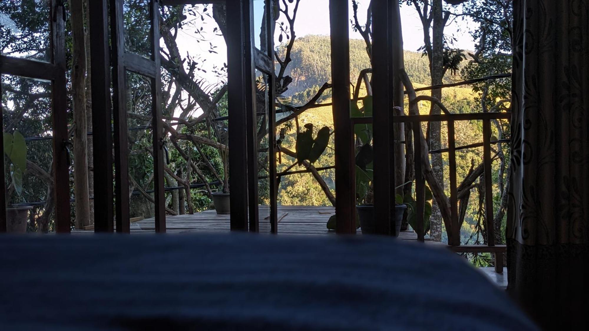 Ella Nature Nest 객실 사진